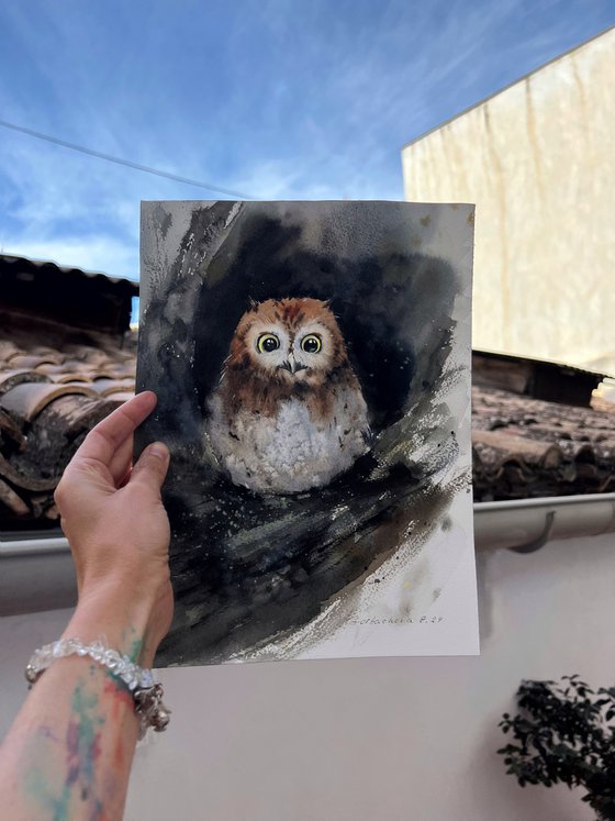 Owl in a hollow