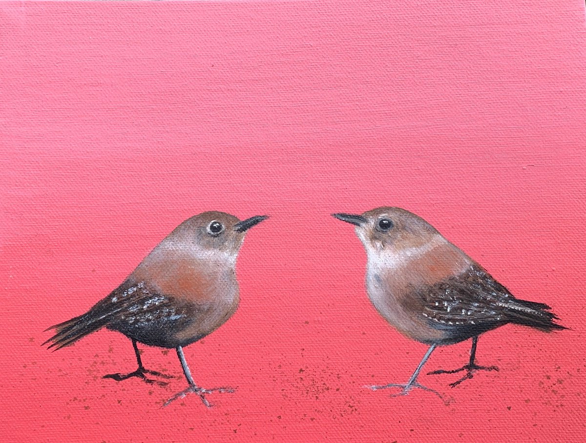 Two Little Wrens ~ on Rose by Laure Bury