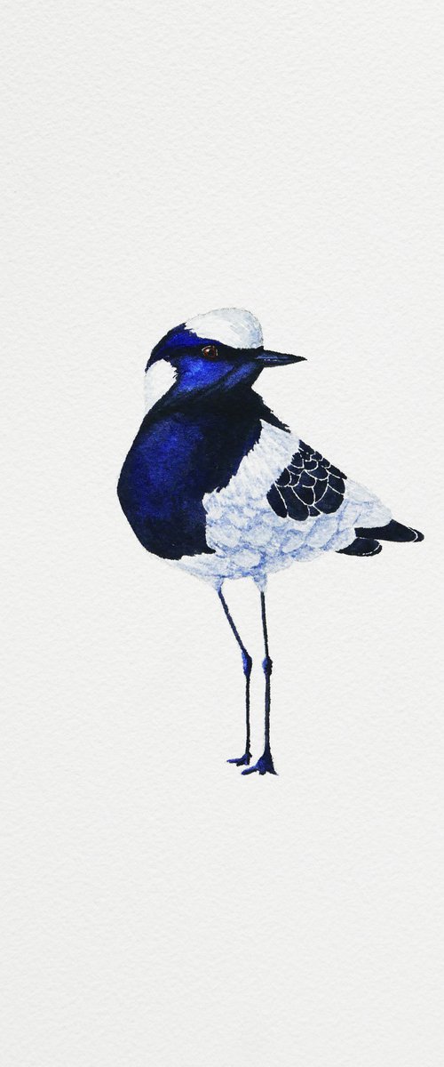 Morning bird by Karina Danylchuk