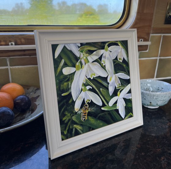 Snowdrops and Bee
