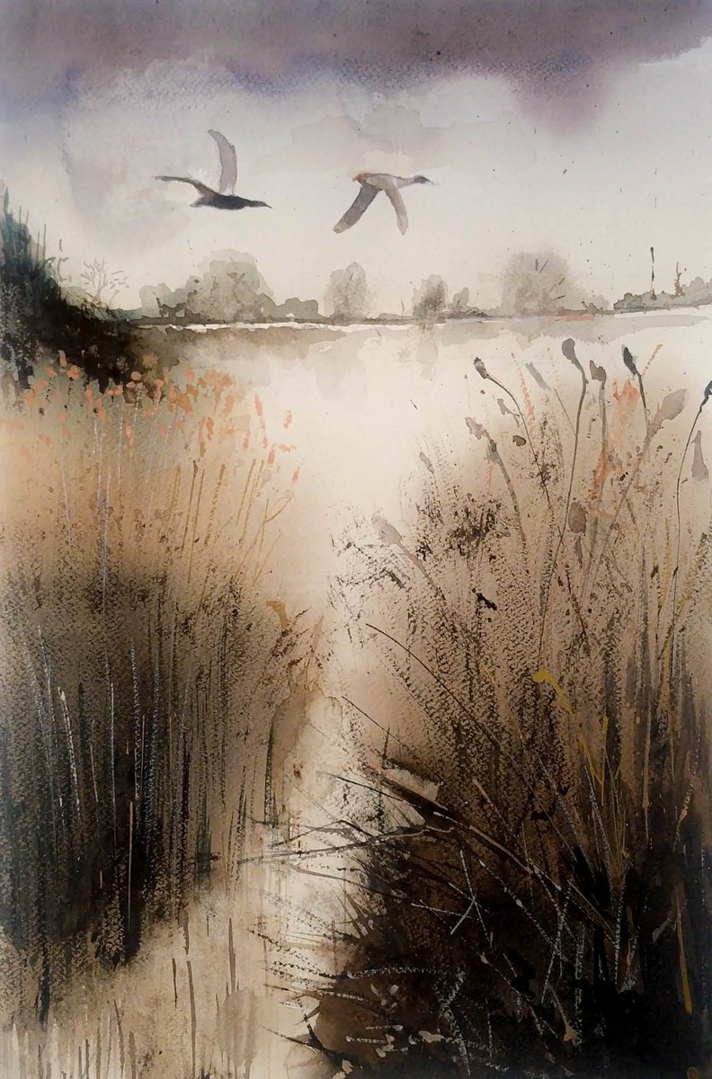 Impressionistic Animal Watercolour By Flavio Furlan, 13 X 22, Ducks, Original Artwork