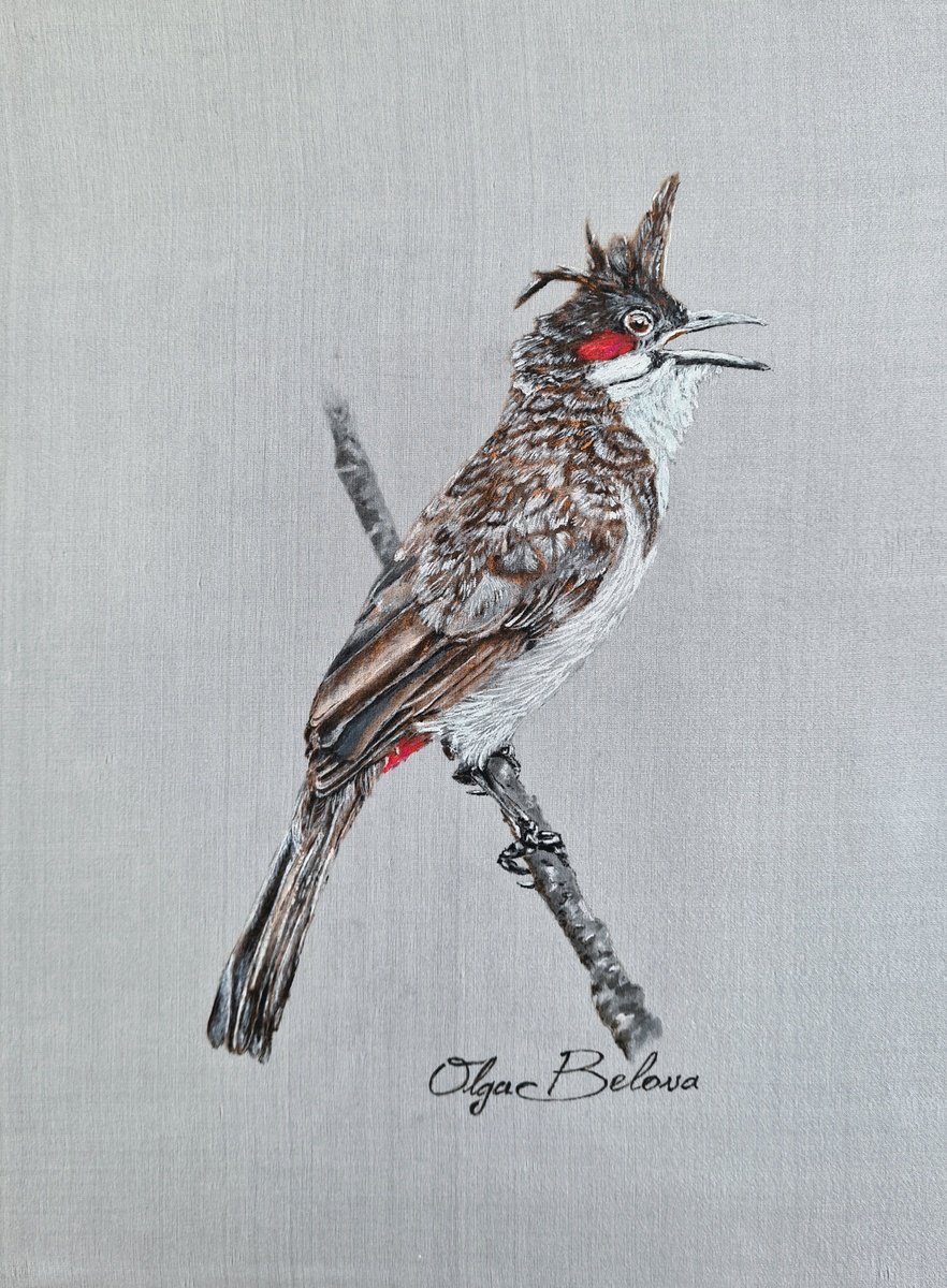 Red-whiskered bulbul painted on pure silk by Olga Belova