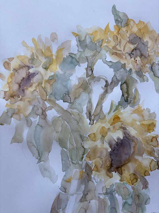 Sunflowers 50x65 cm 2025