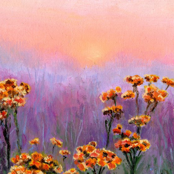 'Flowers at sunrise'