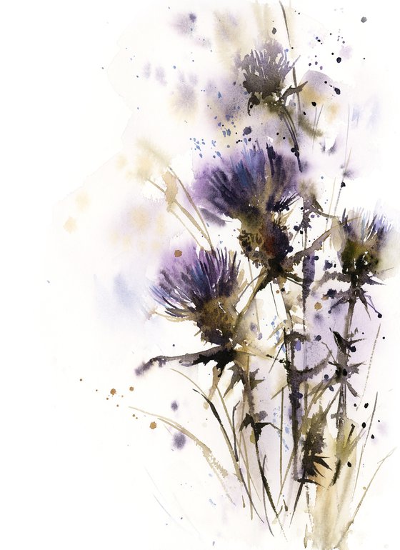 Purple Thistle Flowers