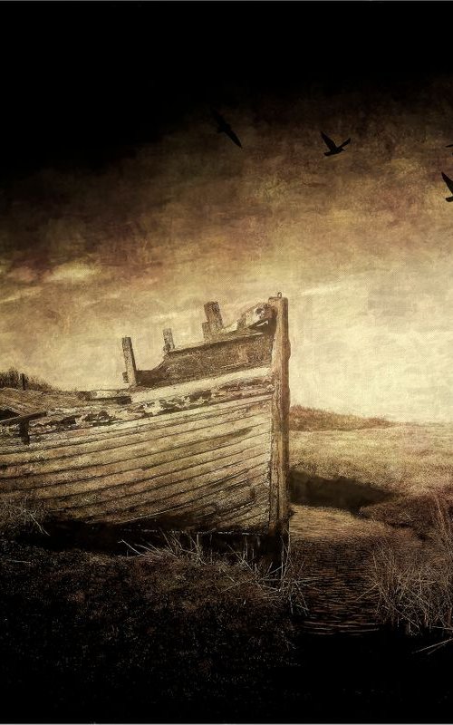 Unloved Boat by Martin  Fry