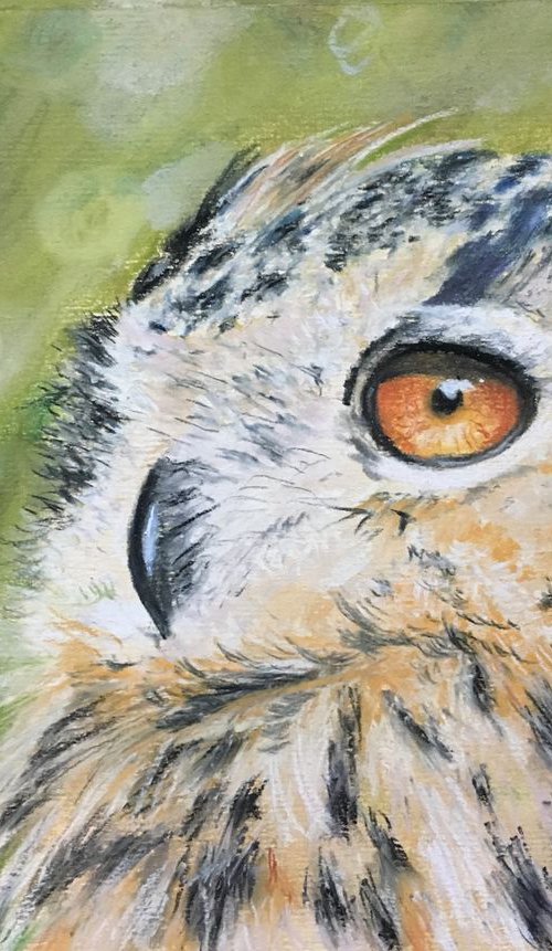 Wise Old Owl Painting by Suzy K