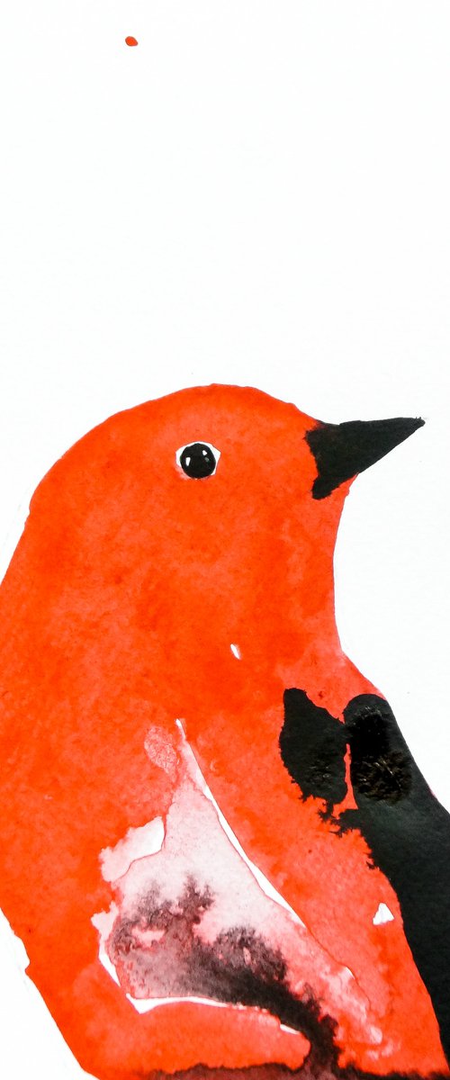 Bird by Nadia Moniatis
