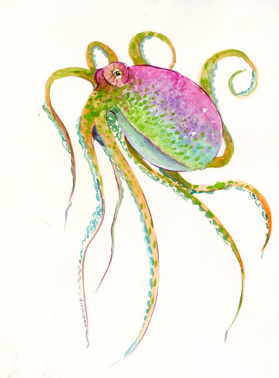 Colorful Octopus