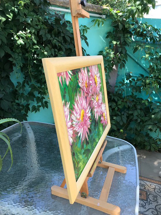 Pink chrysanthemums