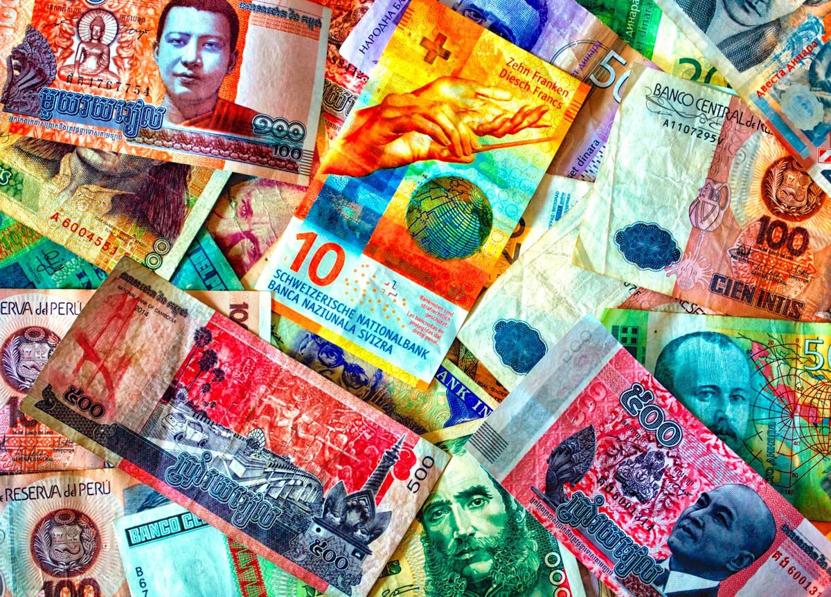 Organic Still Life Photograph By Marc Ehrenbold, 40 X 30", Money, Money, Money, Original Artwork