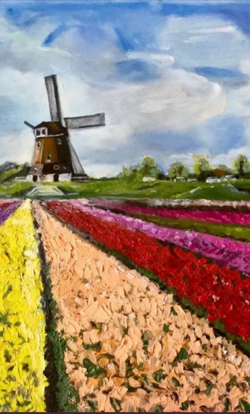 Holland fields of tulips by Olga Koval