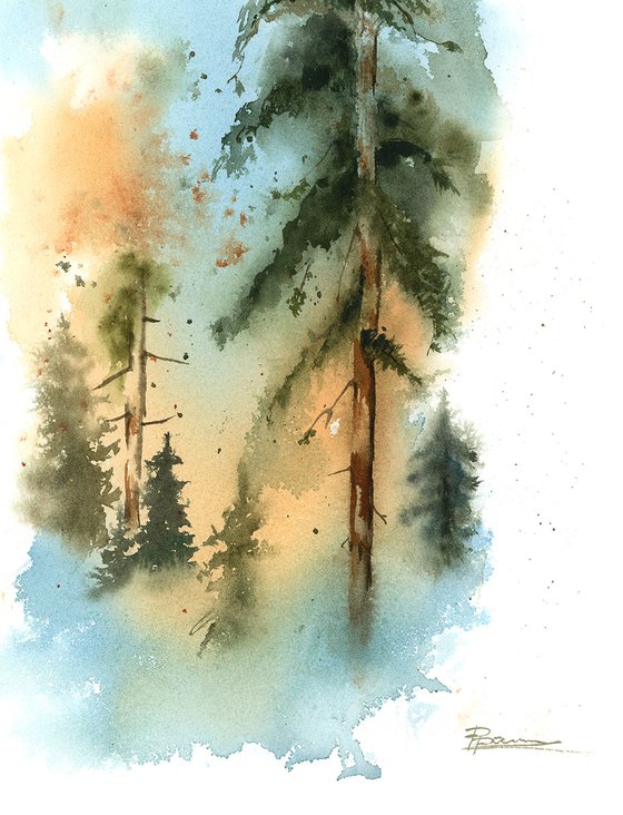 Coniferous forest landscape 2