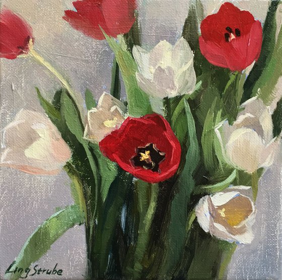 Red and White Tulips