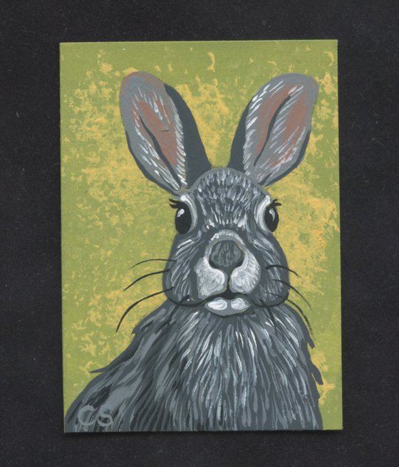 ACEO ATC Original Miniature Painting Bunny Rabbit Wildlife  Pet Art-Carla Smale