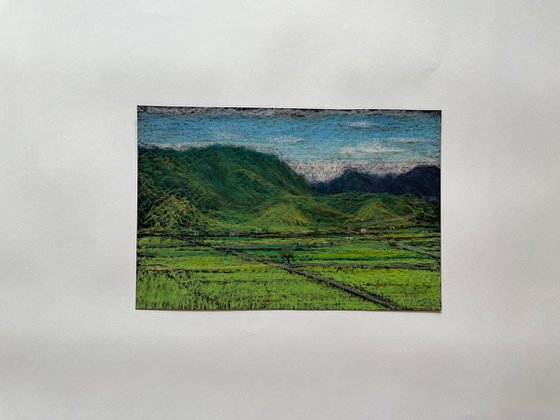 Chihshang Ricefields 2, Taitung