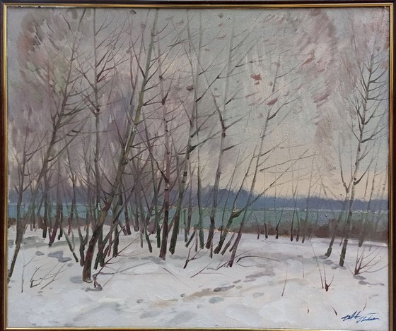 Winter landscape