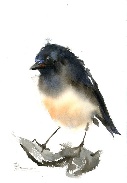 Tomtit - small bird by Olga Shefranov (Tchefranov)