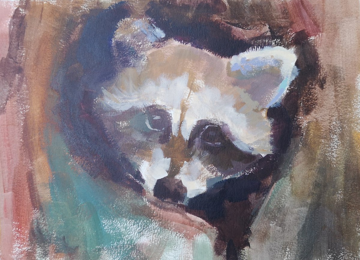 Racoon (acrylic on paper painting) (11x15x0.1