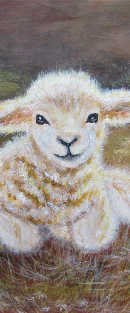Small lamb by Angela Titirig