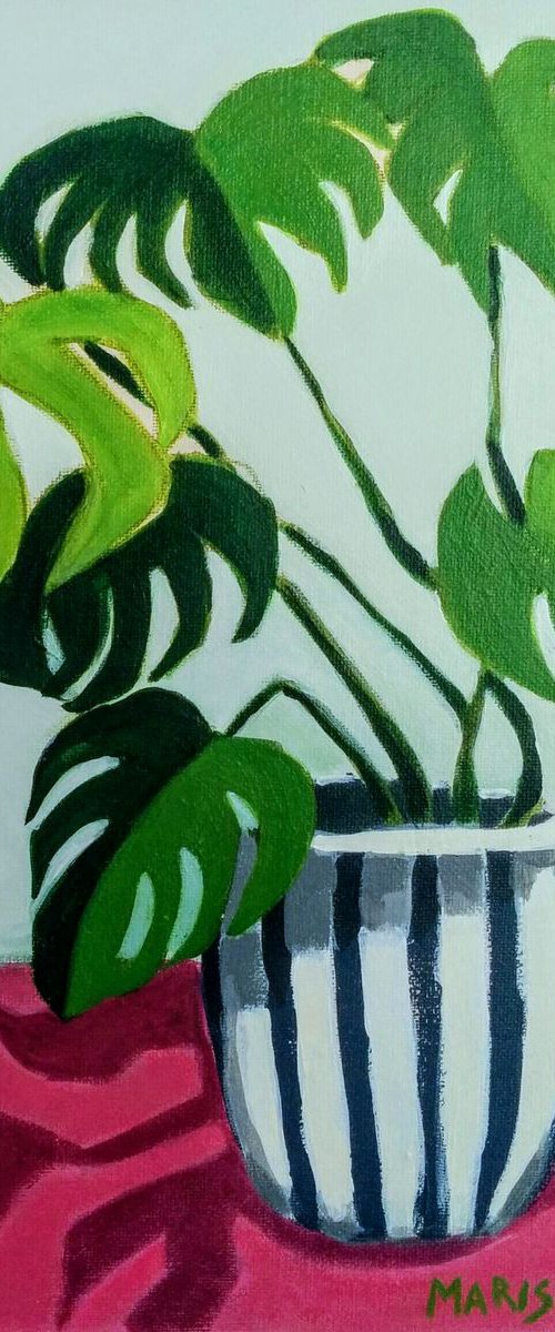 Monstera on Pink by Marisa Añón