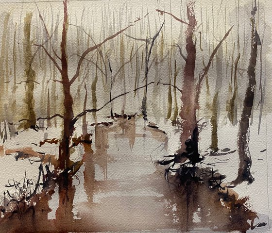 Woodland stream, winter.
