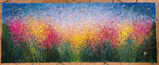 Dreams in Bloom