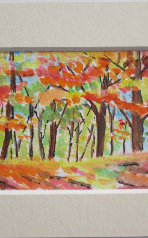Fall Colours Tree by MARJANSART
