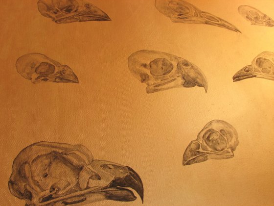 Bird skulls on a golden background