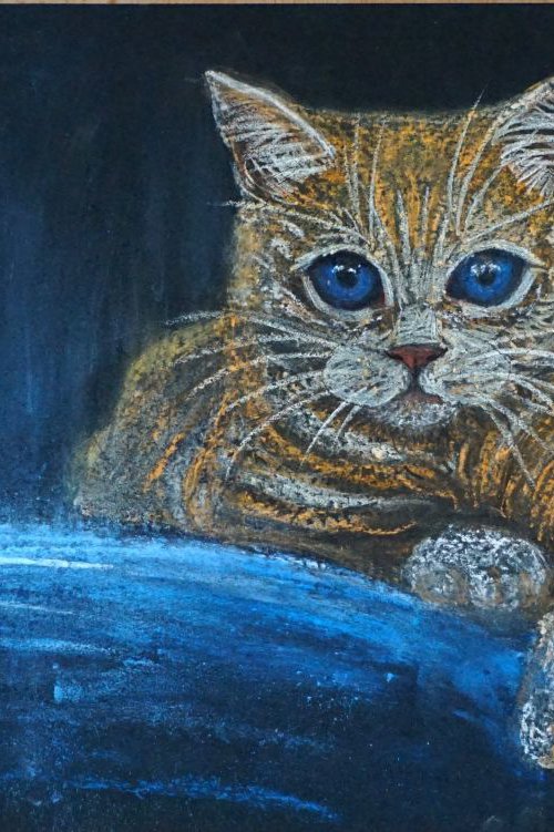 Red cat by Yulia Schuster