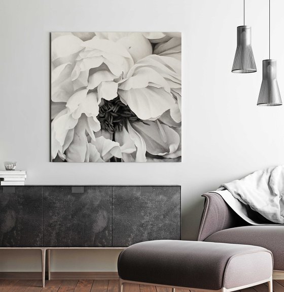 "Blossomed peony" Black white flower oil art
