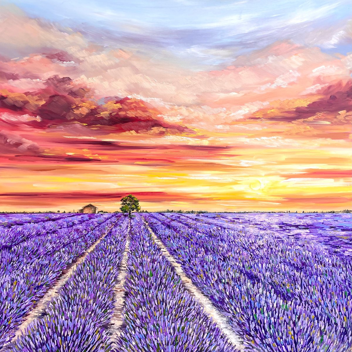 Lavender field, 66 x 66 cm by Art Angel