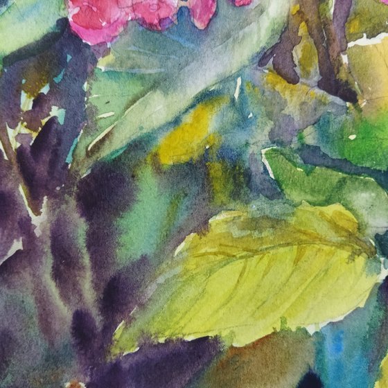 Pink Hydrangeas flowers