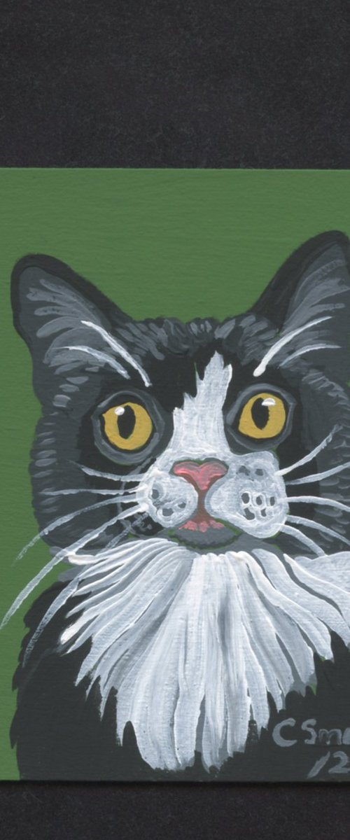 Tuxedo Cat by Carla Smale