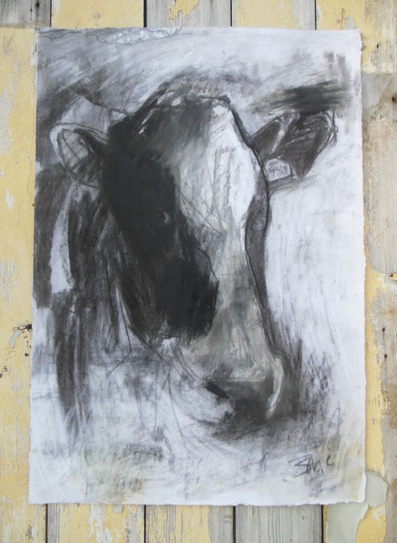 Cow Drawing III