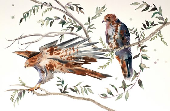 Red-Tailed Hawks No. 2