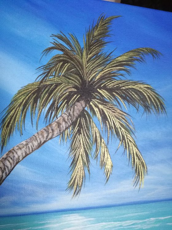 Palm tree breeze.