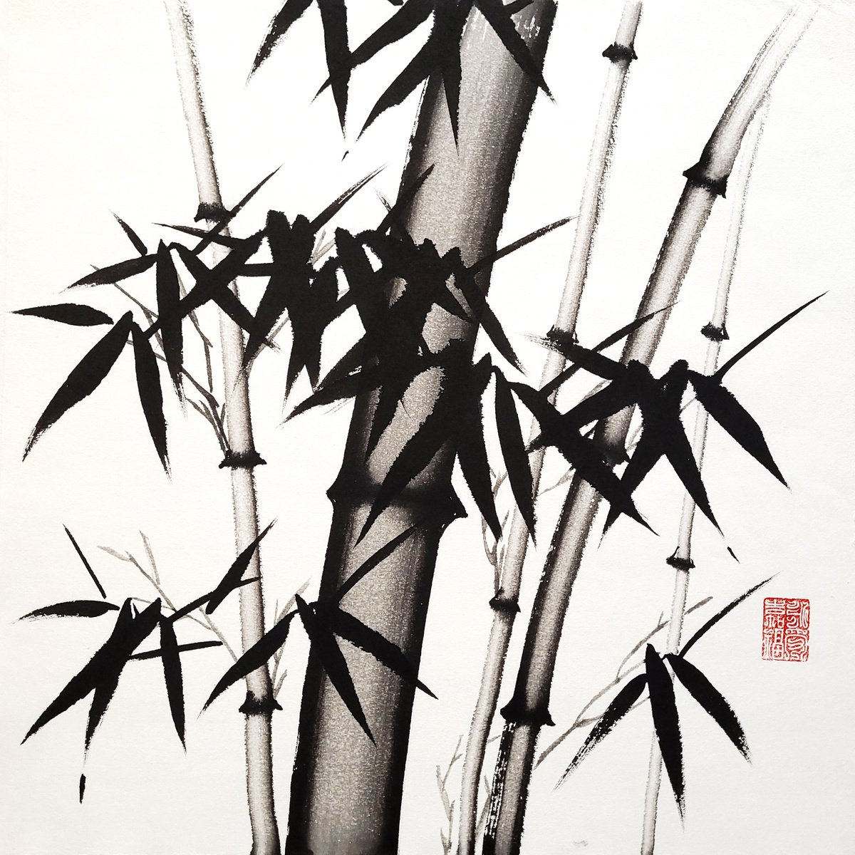Impressionistic Botanical Ink Drawing By Ilana Shechter, 14 X 14, Bamboo Forest, Original Artwork