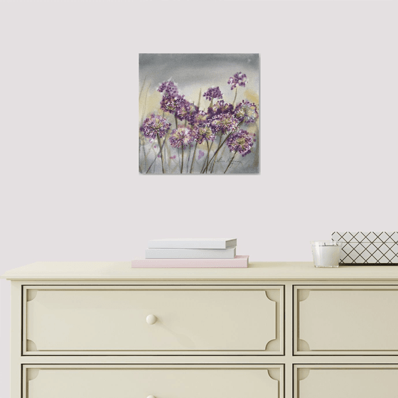 Allium flowers