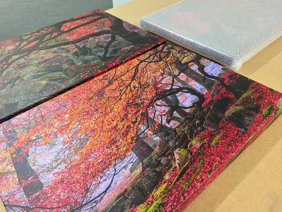 *Special Order* Deep In The Forest / Red Forest / Twisted Tree - 20x30" Canvas Prints