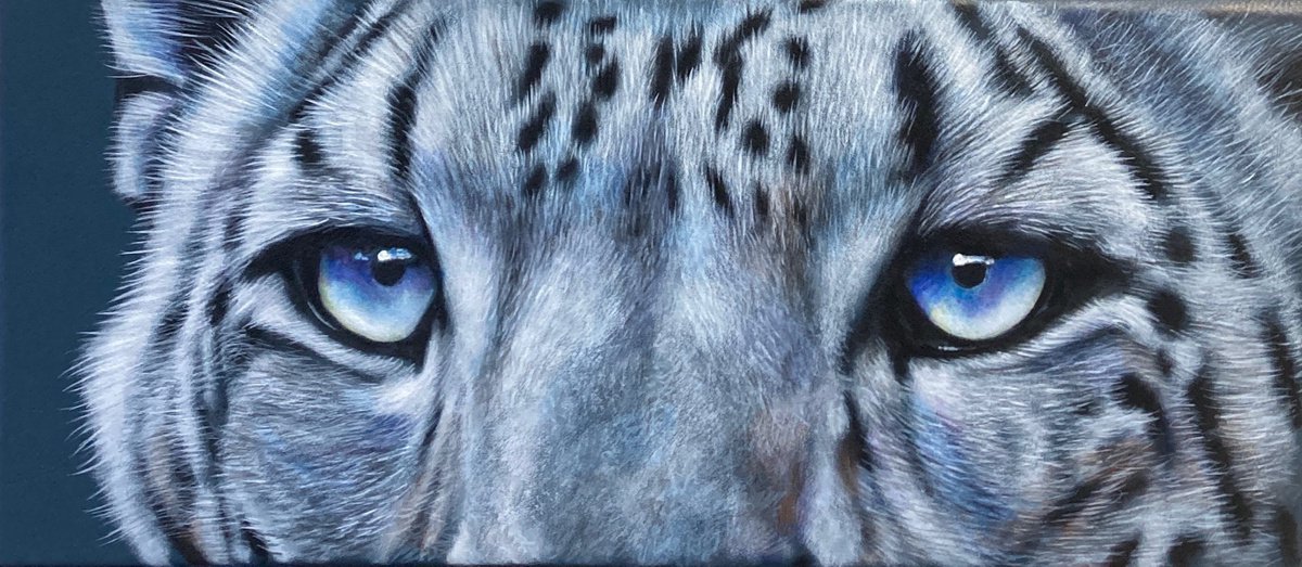 Snow Leopard Eyes by Karl Hamilton-Cox