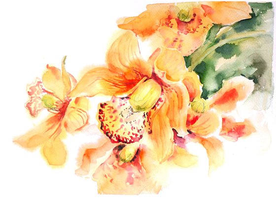 Orchid spring flowers watercolor illustration