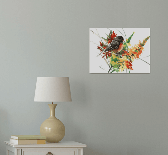 American Robin Bird Art