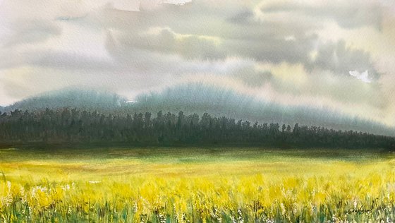 Across the yellow fields