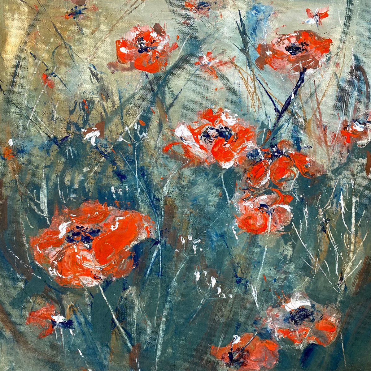 poppies field by Anna Boginskaia