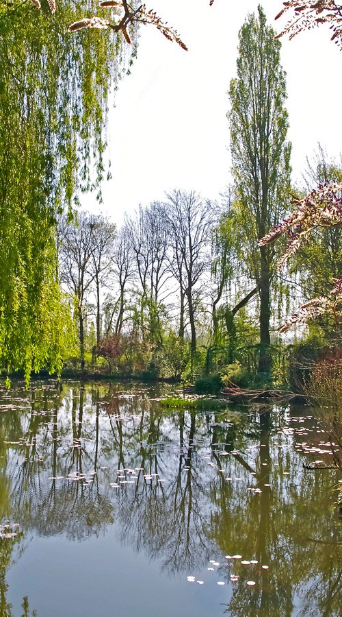 Printemps à Giverny 2 by Alex Cassels