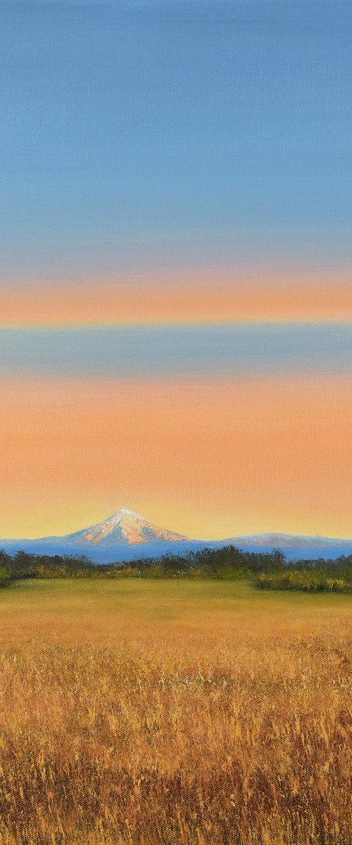 Distant Mountain - Blue Sky Golden Field Landscape by Suzanne Vaughan