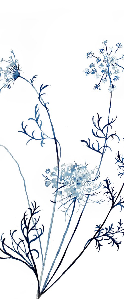 Queen Anne's Lace No. 12 by Elizabeth Becker