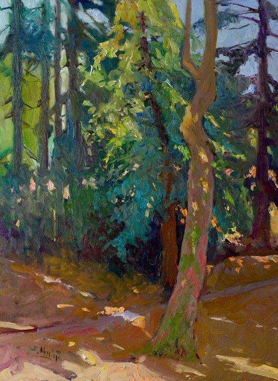 In the Forest