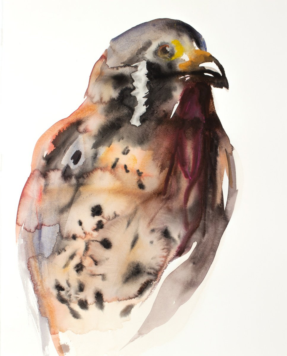 Expressive Animal Watercolour By Elizabeth Becker, 16 X 20, Falcon, Original Artwork